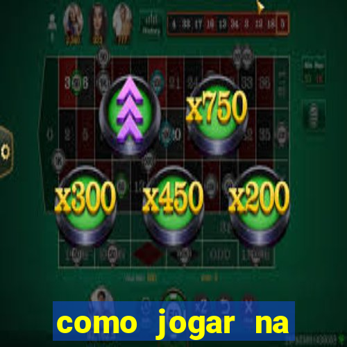 como jogar na seninha online